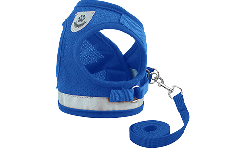 Set Pettorina con Collare e Guinzaglio