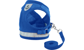 Set Pettorina con Collare e Guinzaglio