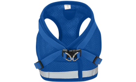 Set Pettorina con Collare e Guinzaglio