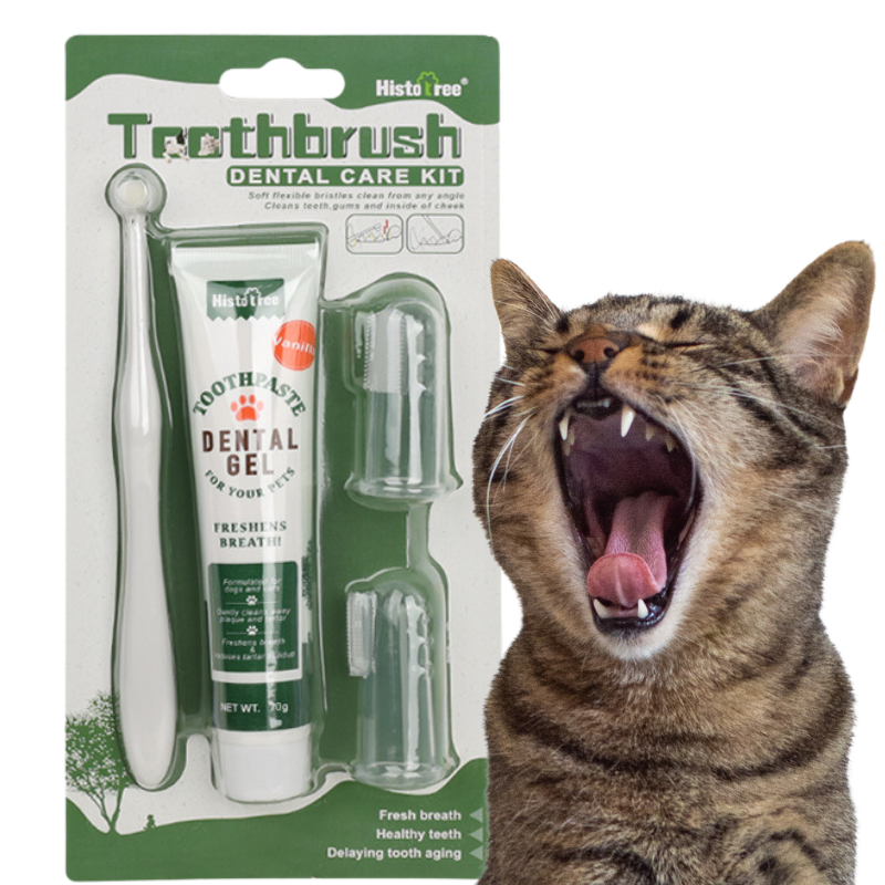 Set Completo per la Cura Orale del Gatto: spazzolino da denti, 2 spazzolini da dito e dentifricio alla vaniglia