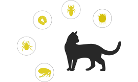 Collare Naturale per Gatto Anti-pulci e Zecche